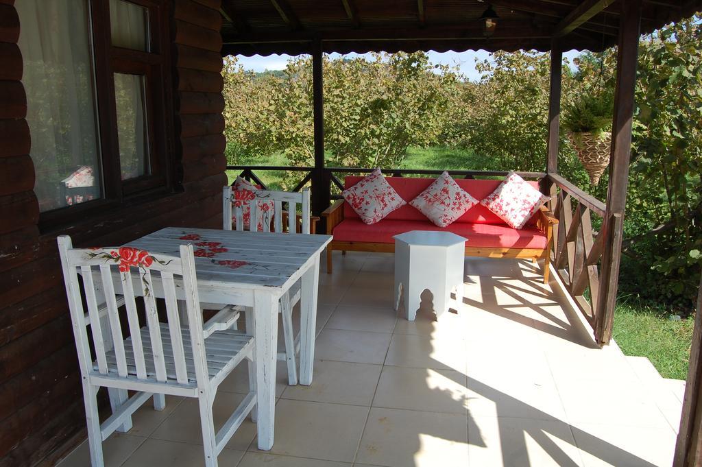 Agva Nehir Perisi Hotel Goce Quarto foto